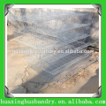 best china factory quail farms